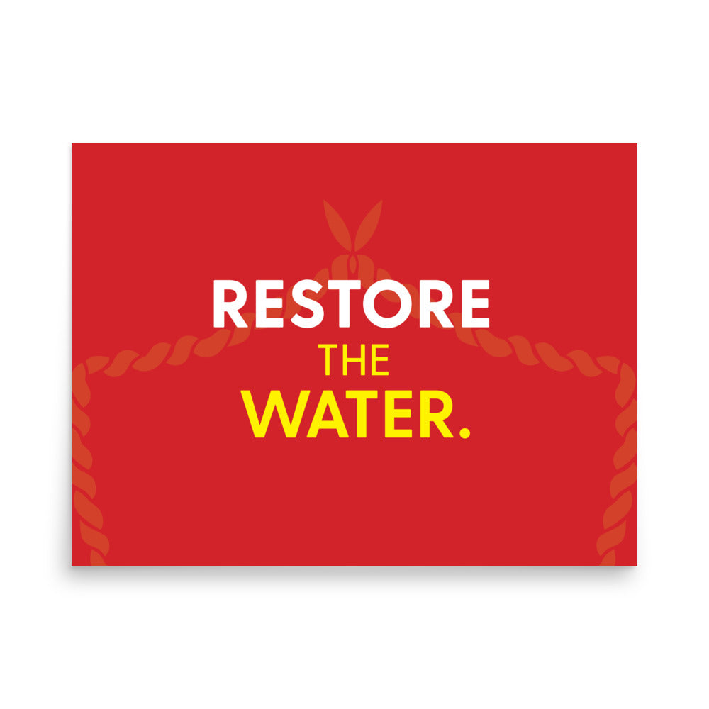 Restore The Water Poster