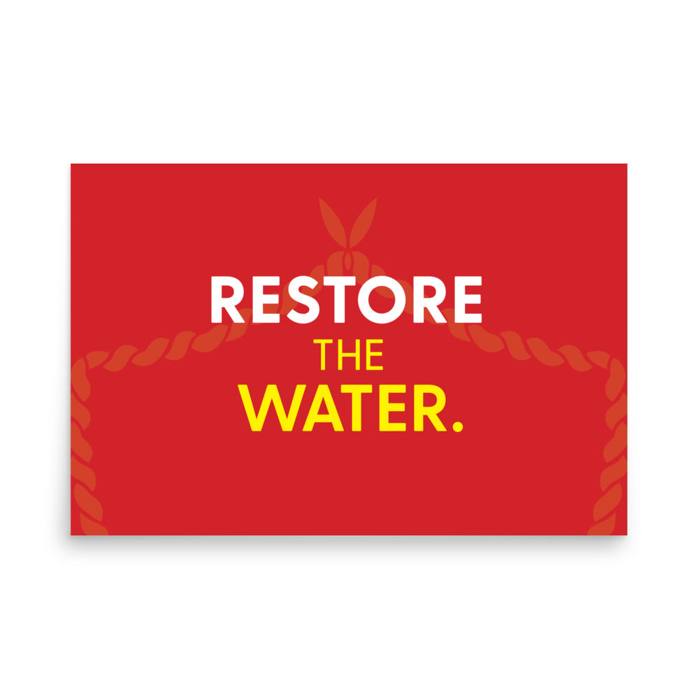 Restore The Water Poster